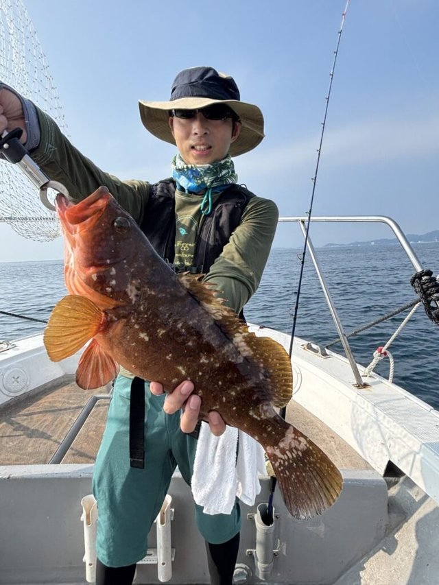 アコウ(キジハタ)