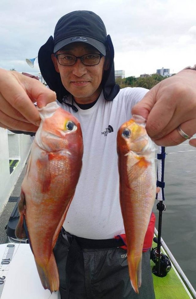 アマダイ(アカアマダイ)