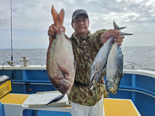 マダイ・カツオ