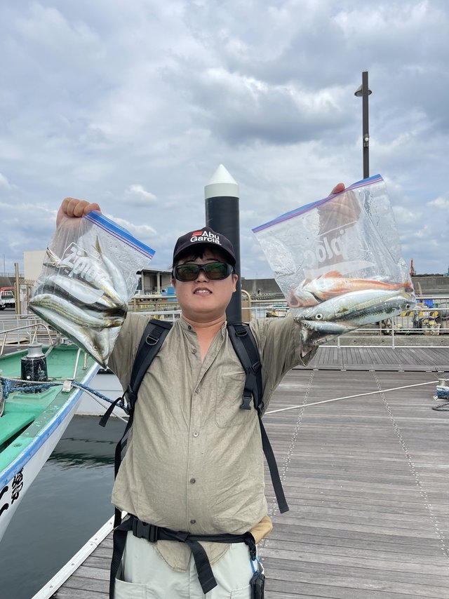 カマス(アカカマス)