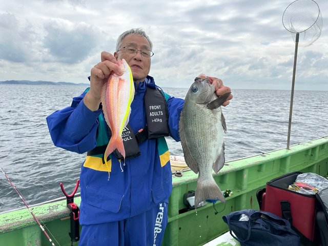 ハナダイ(チダイ)・メジナ