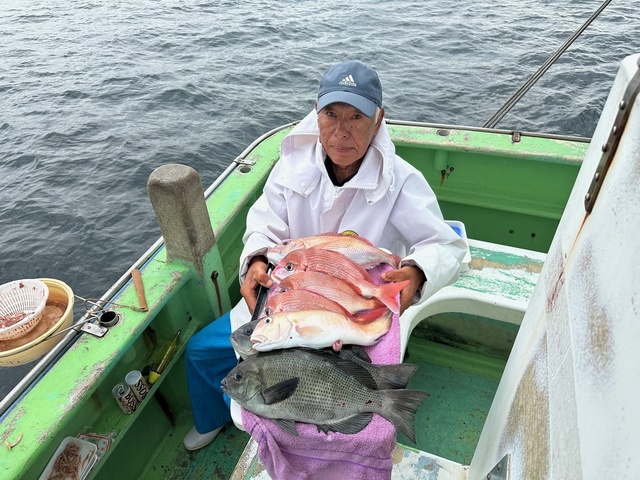 ハナダイ(チダイ)・メジナ