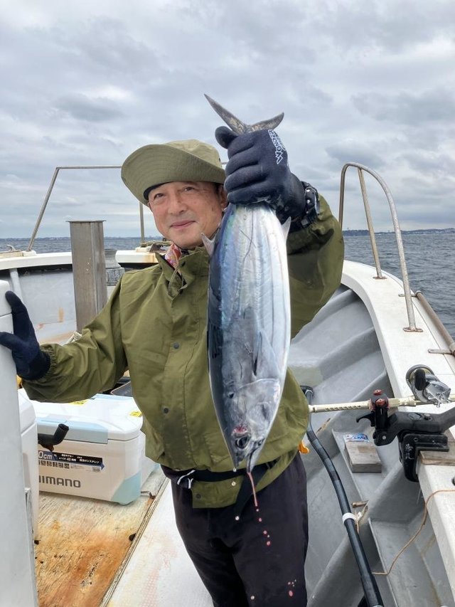 ホンガツオ(カツオ)