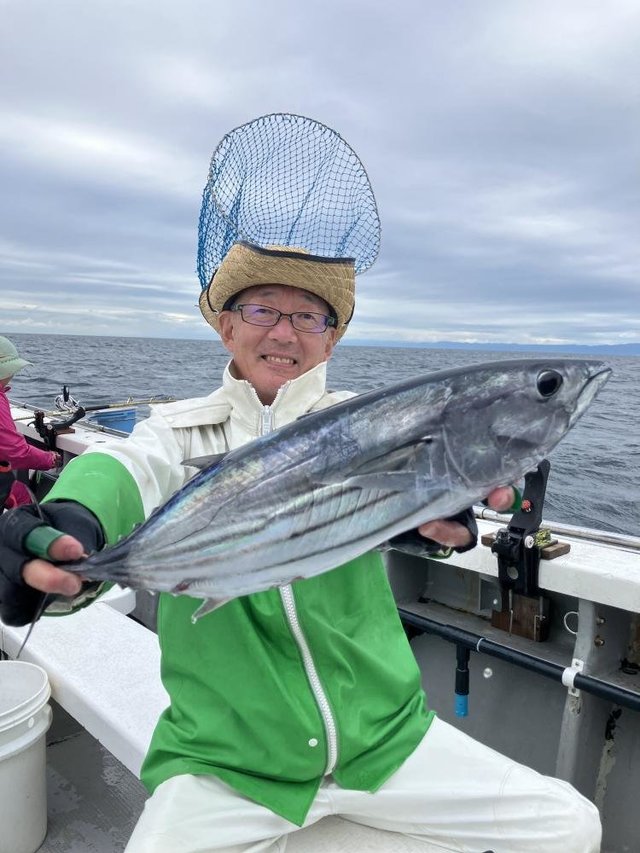 ホンガツオ(カツオ)