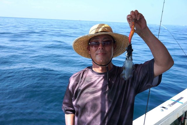 イカ(アオリイカ)