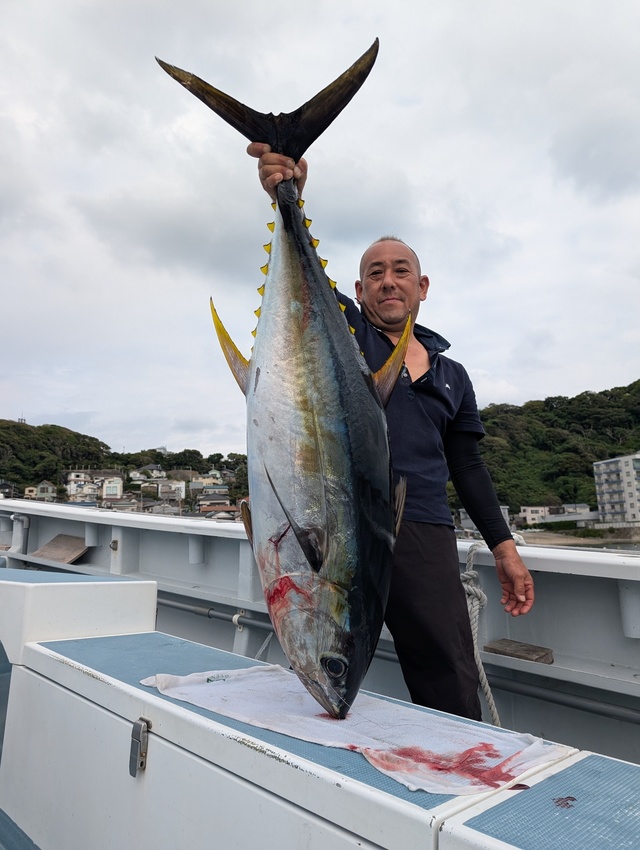 キハダマグロ(キハダ)