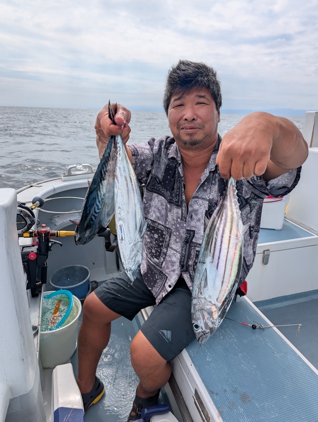 ホンガツオ(カツオ)