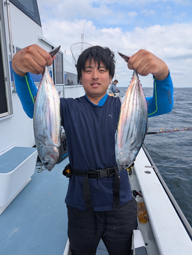 ホンガツオ(カツオ)