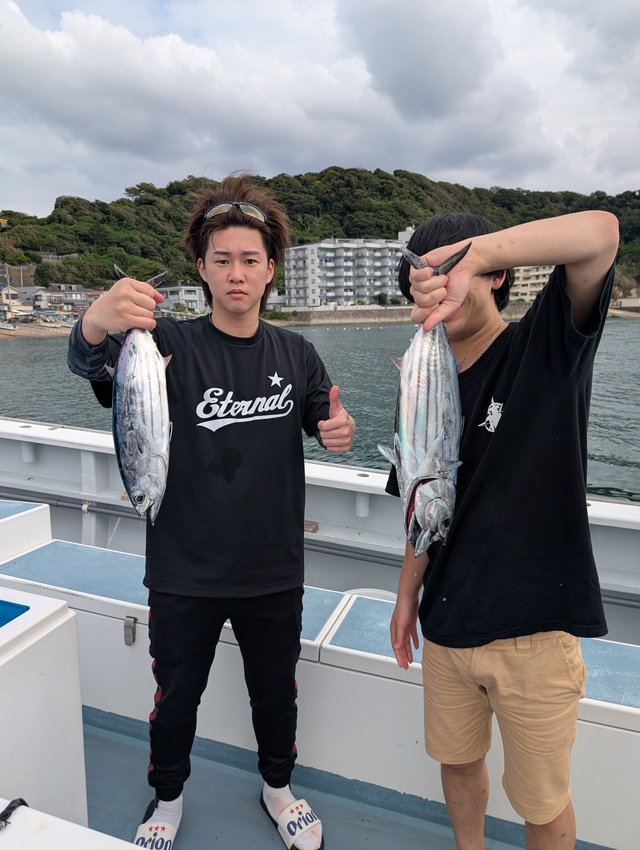 ホンガツオ(カツオ)