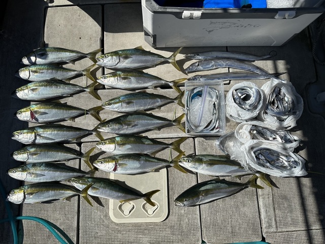 メジロ(ブリ)・タチウオ