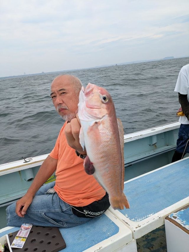 アマダイ(アカアマダイ)