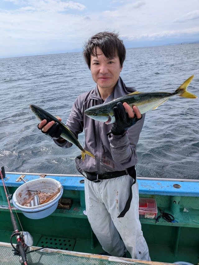 ワカシ(ブリ)・イナダ(ブリ)