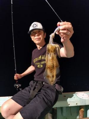 アオリ(アオリイカ)