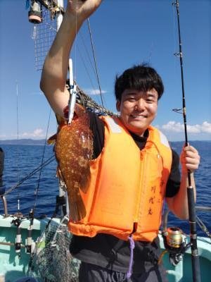 アコウ(キジハタ)