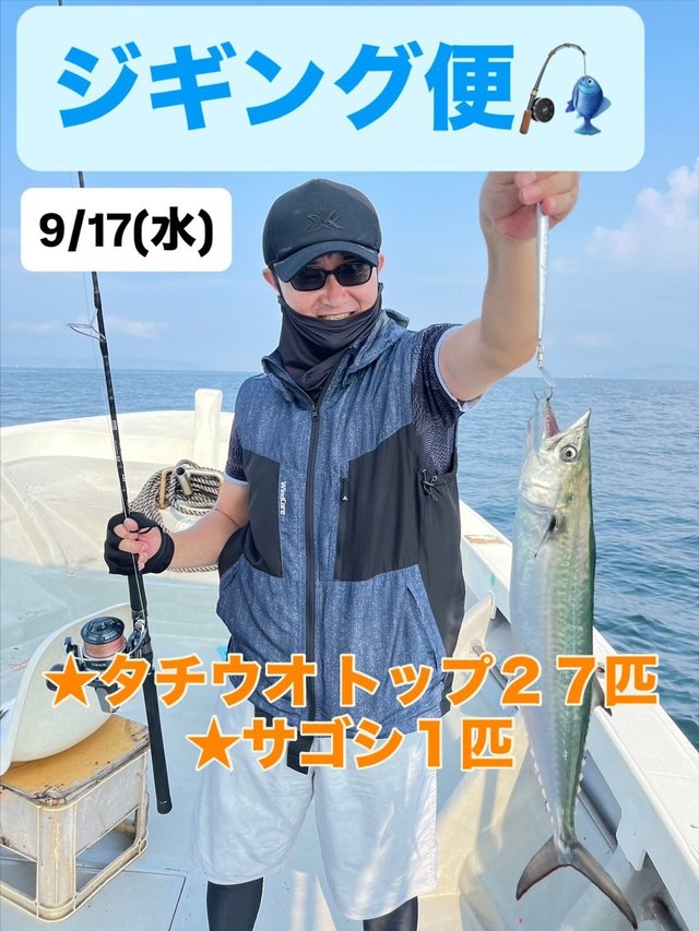 サゴシ(サワラ)