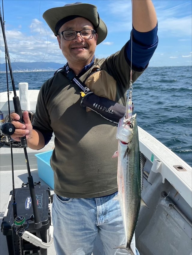 サゴシ(サワラ)