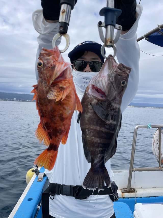 マハタ・カサゴ