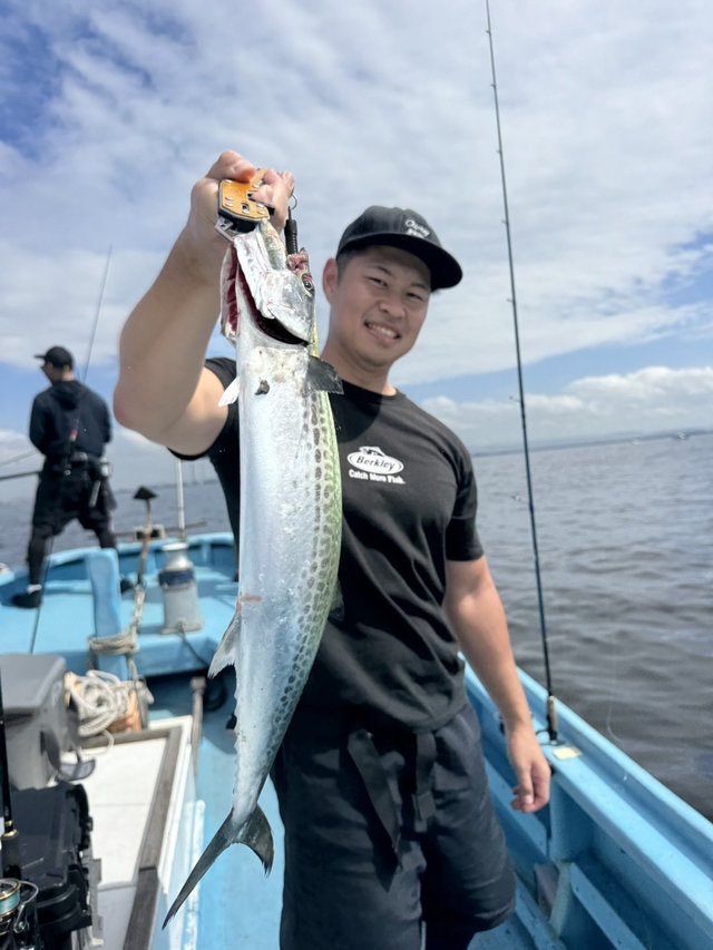 サゴシ(サワラ)