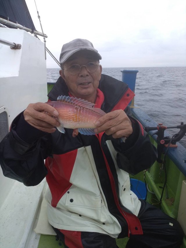 アマダイ(アカアマダイ)