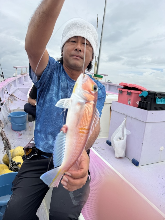 アマダイ(アカアマダイ)