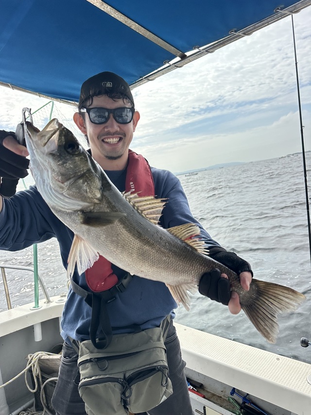 シーバス(スズキ)