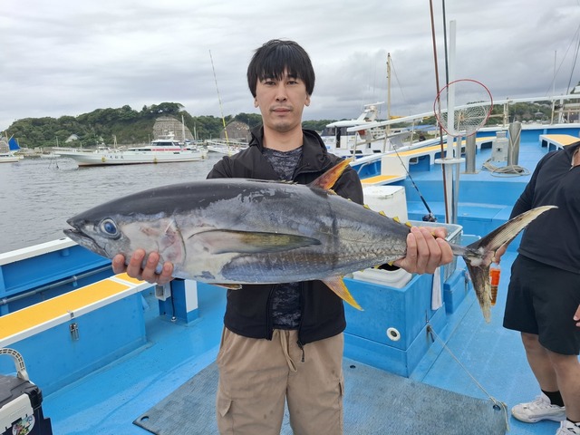 キメジ(キハダ)