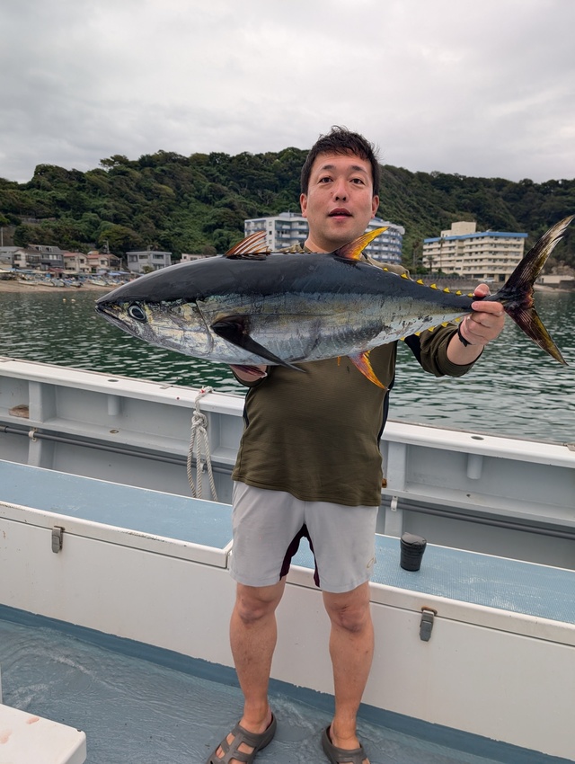 キメジ(キハダ)