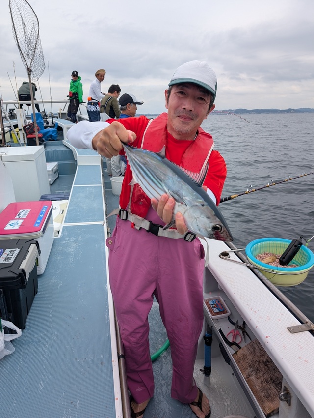 ホンガツオ(カツオ)