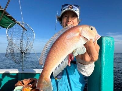 アマダイ(アカアマダイ)