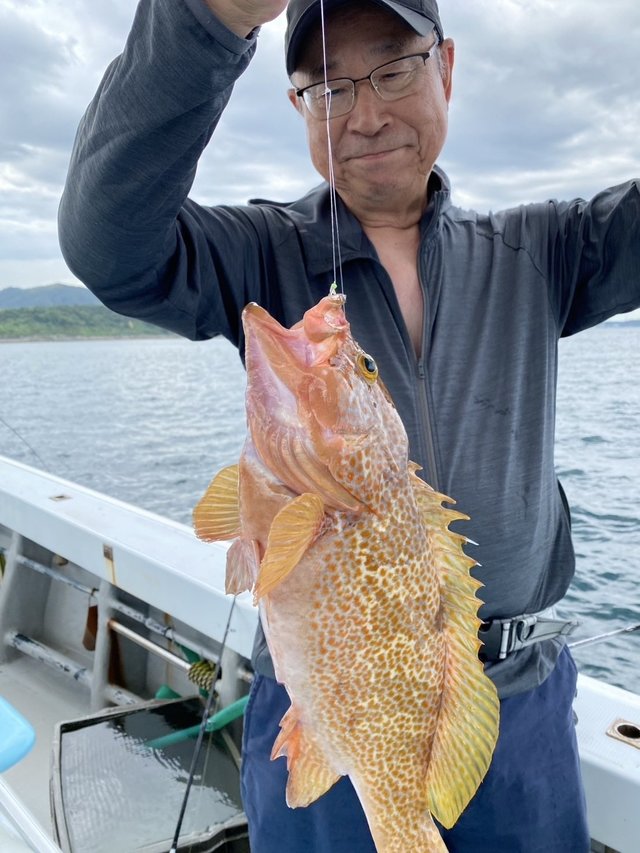 アコウ(キジハタ)