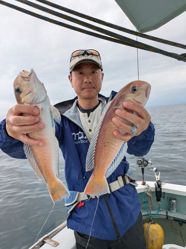 アマダイ(アカアマダイ)