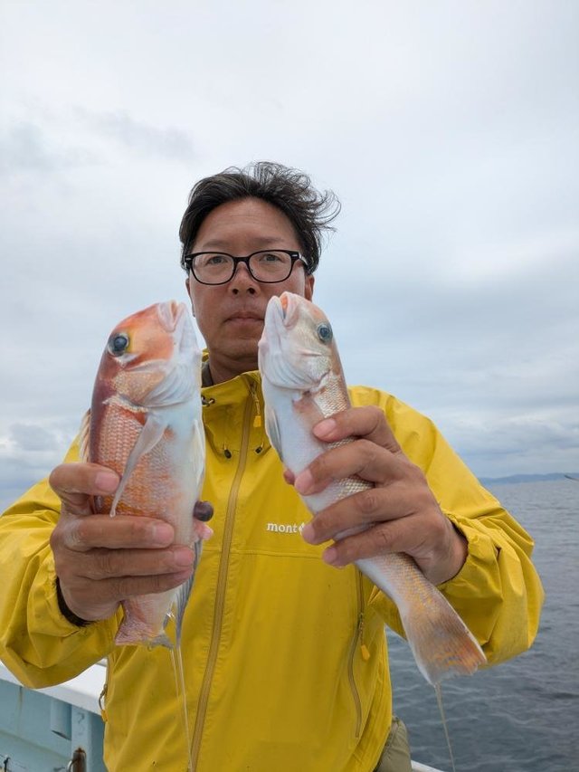 アマダイ(アカアマダイ)