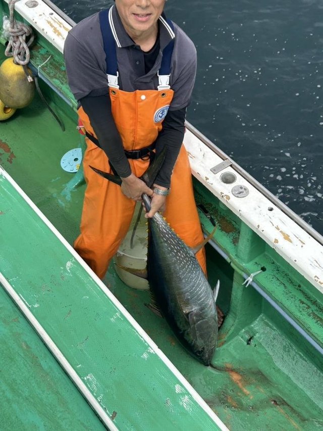 キメジ(キハダ)