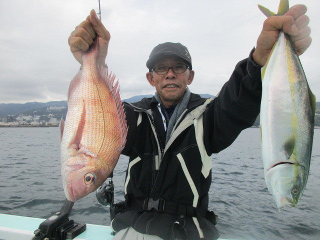 マダイ・イナダ(ブリ)