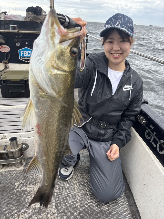 シーバス(スズキ)