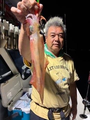 マイカ(ケンサキイカ)