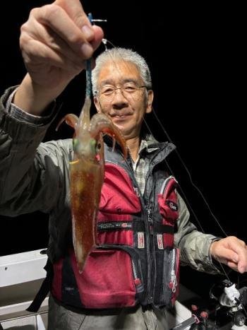 マイカ(ケンサキイカ)