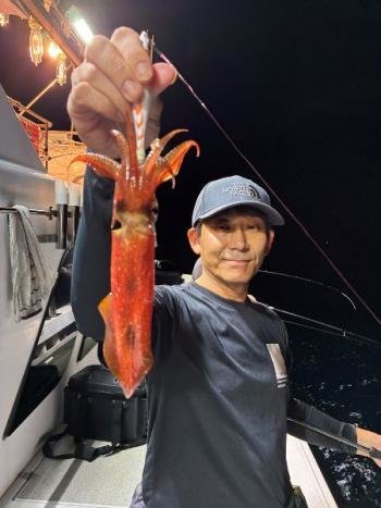 マイカ(ケンサキイカ)