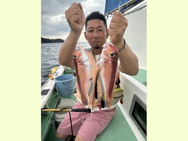 アマダイ(アカアマダイ)