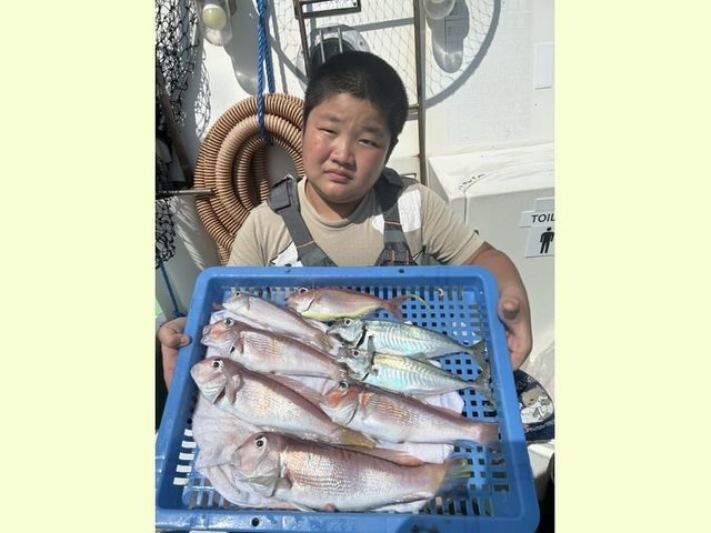 アジ(マアジ)・アマダイ(アカアマダイ)・イトヨリ(イトヨリダイ)