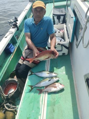 マダイ・ワラサ(ブリ)