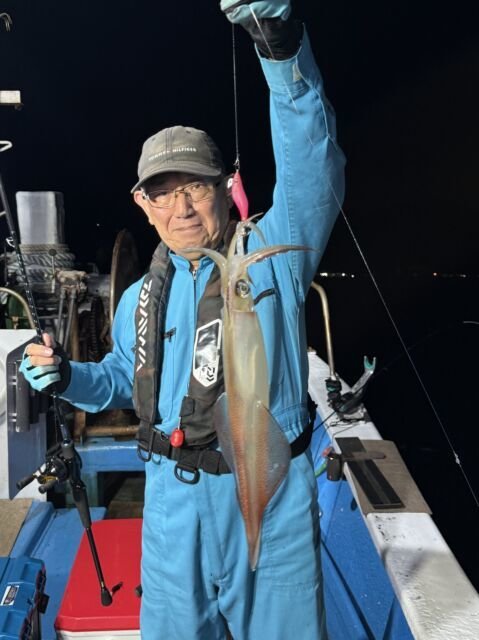 マイカ(ケンサキイカ)