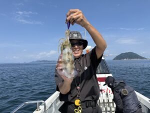 アオリ(アオリイカ)