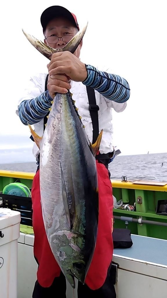 キメジ(キハダ)