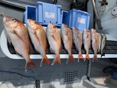 マダイ・イサキ