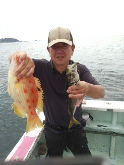 アジ(マアジ)・キツネダイ