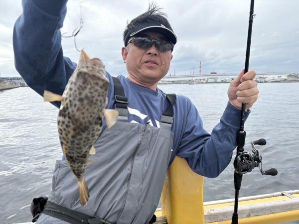 ショウサイフグ