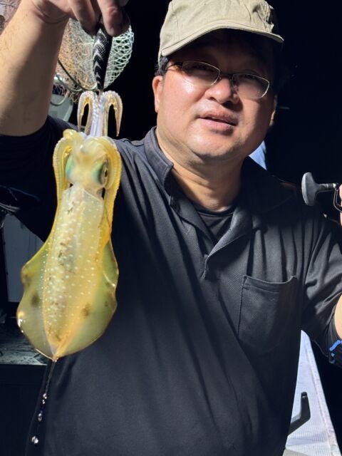 アオリ(アオリイカ)