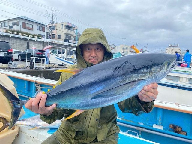 マグロ(キハダ)