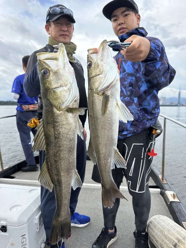 シーバス(スズキ)